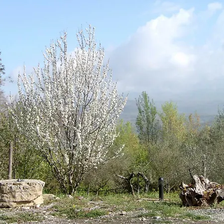 Le Cammarose Farm stay Felitto