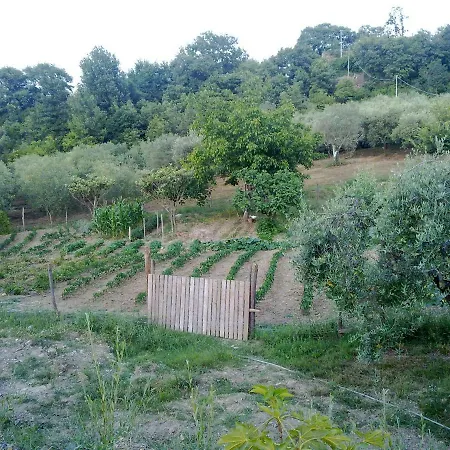 Farm stay Le Cammarose Felitto